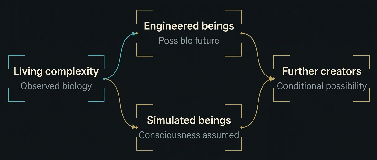 Figure 1 The argument branches into biological creation and digital simulation before reaching the possibility of further creators.